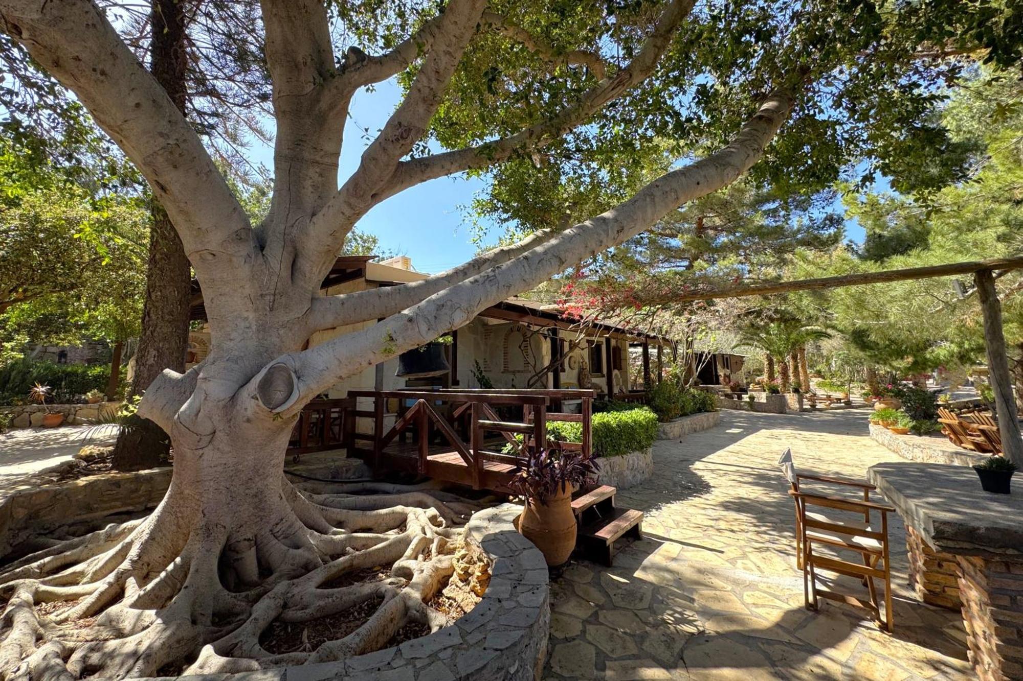 Stella'S Traditional Inn Káto Zákros الغرفة الصورة