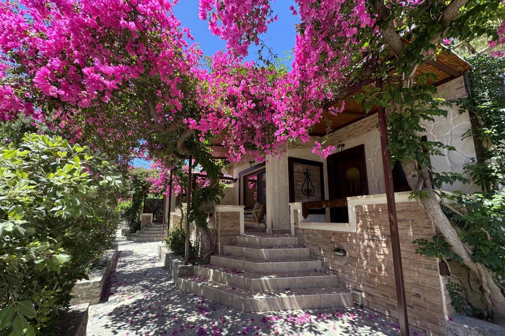 Stella'S Traditional Inn Káto Zákros المظهر الخارجي الصورة