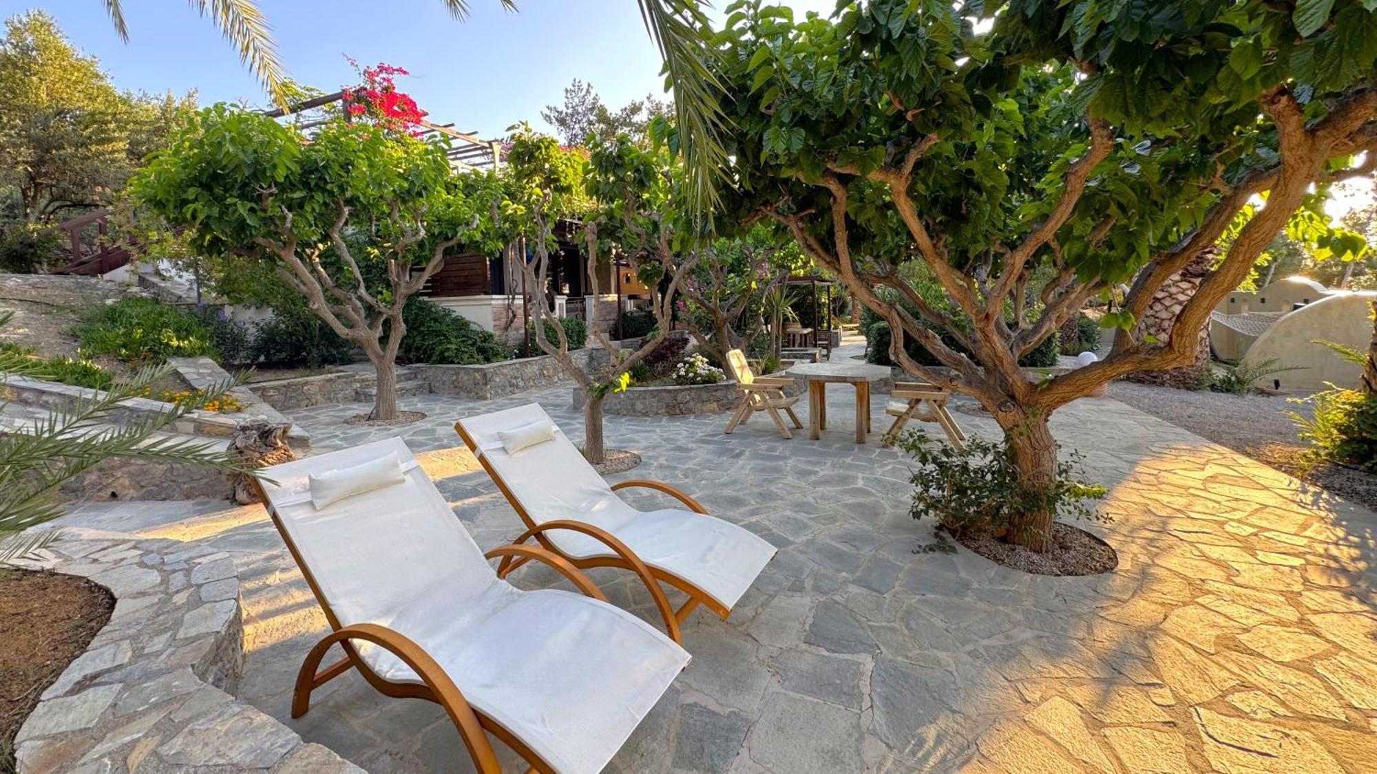 Stella'S Traditional Inn Káto Zákros المظهر الخارجي الصورة